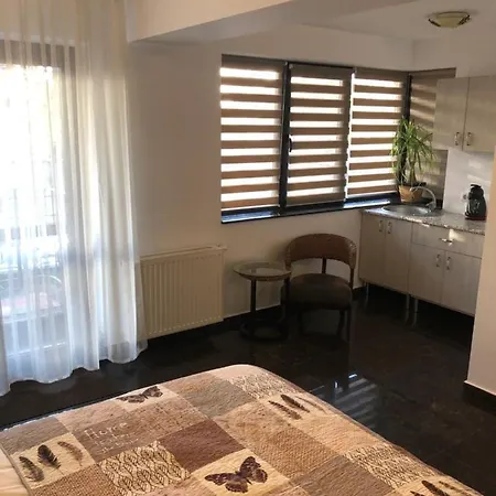 Studio Bed & Breakfast Bukarest