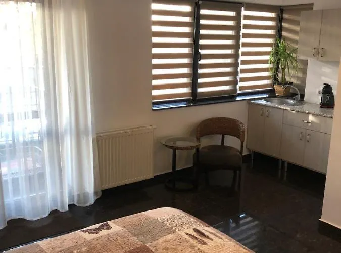 Studio 住宿加早餐酒店 布加勒斯特